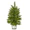 2ft. Pre-Lit Providence Pine Artificial Christmas Tree, Warm White Lights